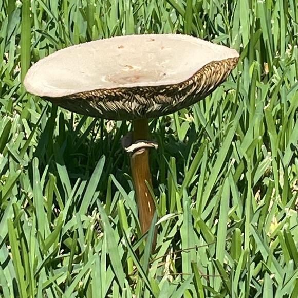 fishygg139
